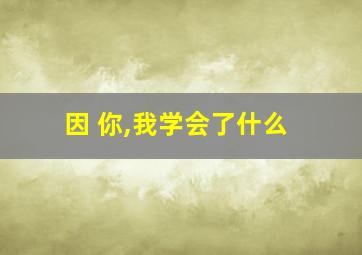 因 你,我学会了什么